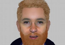 Man sought after mini-digger theft