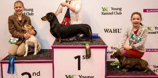 Crufts prize for schoolgirl