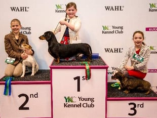 Crufts prize for schoolgirl