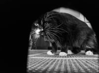 Camera club is on the move