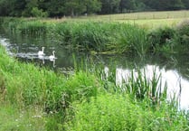 River Wey upgrades to be discussed in Alresford and Alton next week