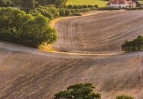 Who will win public vote in South Downs National Park’s photo competition?