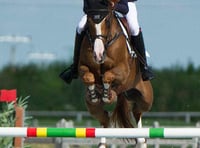 Harry goes for Young Rider glory