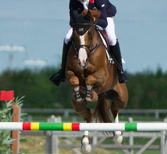 Harry goes for Young Rider glory