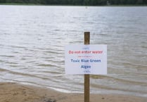 Toxic algae closes Frensham Great Pond