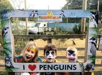 Birdworld ready for some ghoulish fun