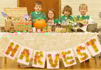 Harvest success at Woodlea Primary School