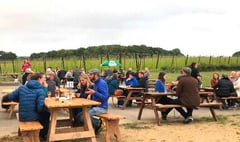 Hogs Back Brewery opens pub garden after successful trial run