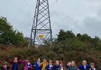 Waverley Abbey's pylon petition reaches more than 400 signatures