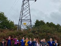 Waverley Abbey's pylon petition reaches more than 400 signatures