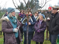 Wassailing in the orchard returns to Petersfield this weekend 