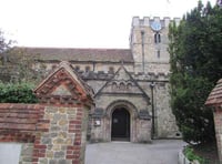 Box clever: Learn how to help swifts at PeCAN event in Petersfield