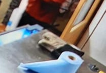 CCTV image released after robbery at Holybourne village shop