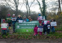 Six councils pool cash to save Tice’s Meadow from housing