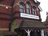Volunteer at Curtis Museum and Allen Gallery