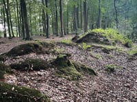 Could deer park derail housing plans?