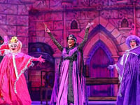 Mayflower's Cinderella is strictly fab-u-lous darling - oh yes it is!