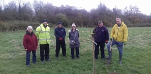 New community orchard planted in Alton