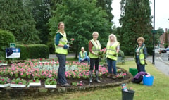 Liphook in Bloom celebrates 25th birthday this year