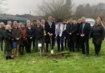 Holocaust memorial oak tree to be replaced after just 12 months in Haslemere
