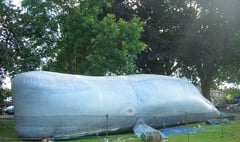 Inflatable whale coming to Haslemere Educational Museum