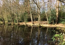 Planning delays cost Deadwater Valley Trust dear at Knox Pond