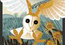 Exhibition about wildlife in field edges showing in Selborne 