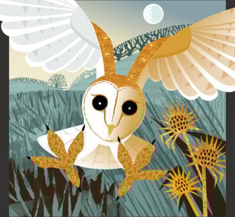 Picture of a barn owl by Rachel Hudson
