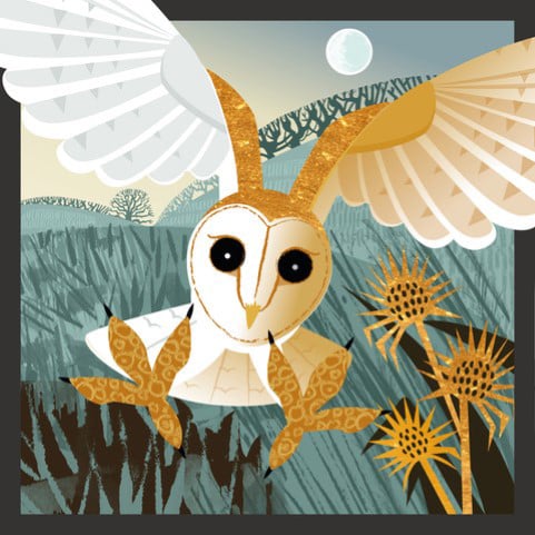 Picture of a barn owl by Rachel Hudson