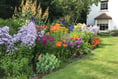 Binsted Place to open garden gates this September in aid of church