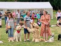 Wrecclesham Village Fete back this Sunday – with first ever tug o' war