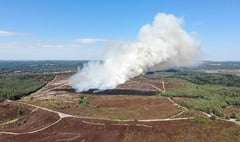 Firefighters tackling Hankley Common fire overwhelmed with donations