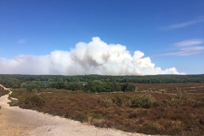 A huge plume of smoke rose above Hankley Common and was blown as far as west London and Heathrow airport – seen here from Kings Ridge, Frensham