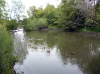 Council seeks to calm waters in heated pond debate 