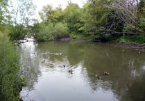 Alton Town Council denies trying to kill off Kings Pond