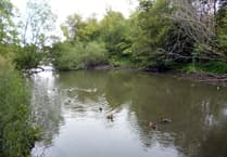 Big change to pond and river proposal for Kings Pond in Alton