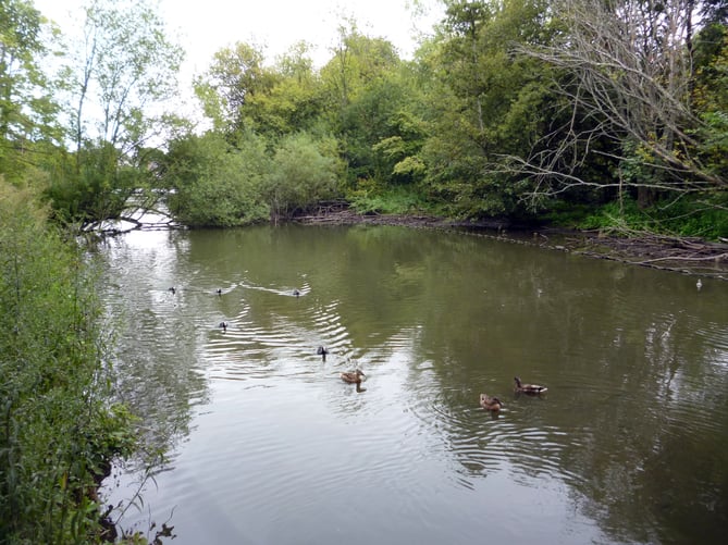 Kings Pond, Alton, August 23rd 2022.