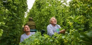 Hogs Back Brewery toasting 30 years in business