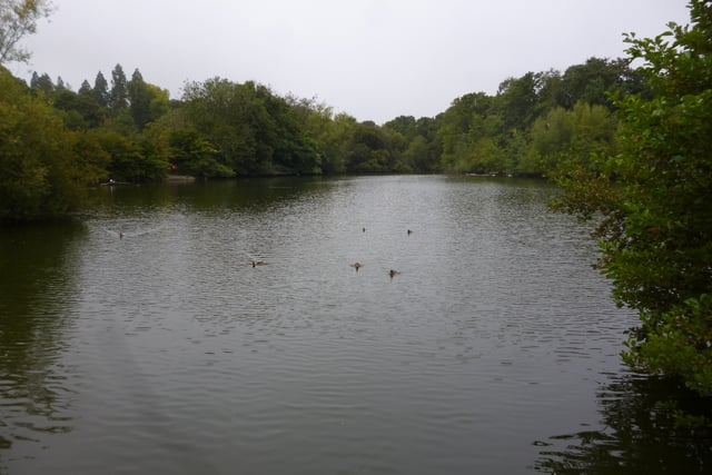 Town council to spend £44,000 investigating King's Pond options 