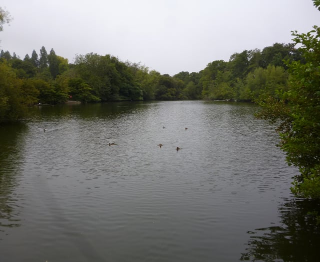 Save Kings Pond campaign founder backs dredging option