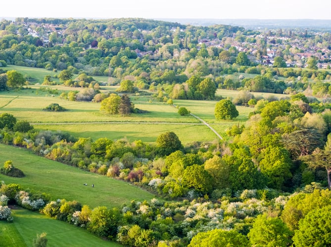 Farnham Park