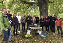 Grayshott orchard project ideas put forward