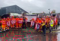 Waverley bin strike off amid claims of dirty play