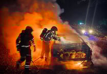 Bordon firefighters put out car blaze