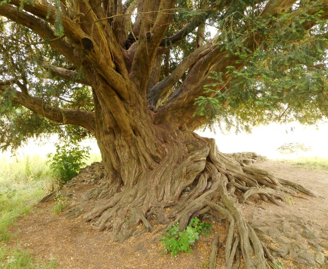 Hidden Surrey - Elstead and the surrounding areas