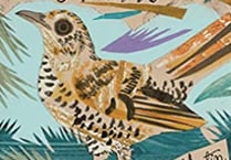 Talk on nature art book at Gilbert White’s House in Selborne