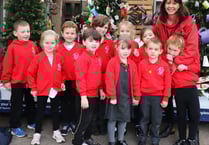 Badshot Lea Infant School’s tree voted the ‘Best of British’
