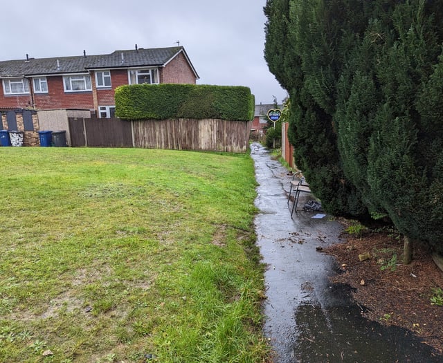 Charred body of burned dog found in residential area of Farnham