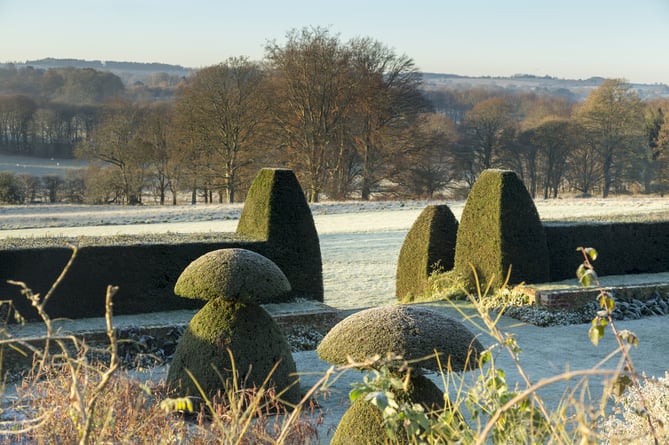 Hinton Ampner winter topiary and parkland