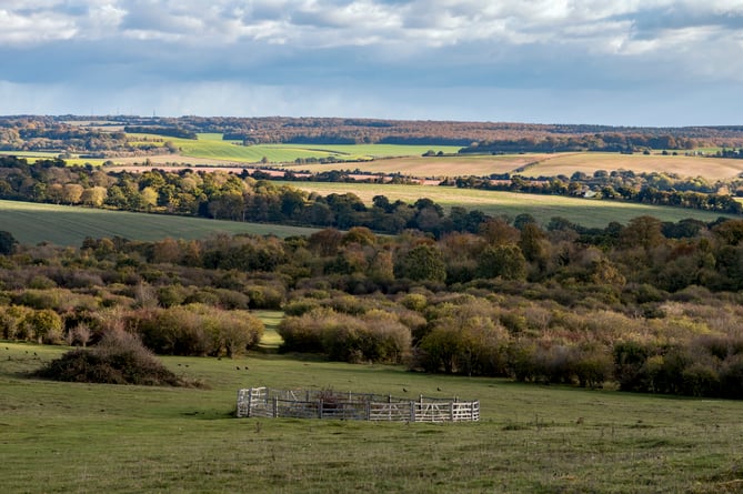 Stockbridge Down